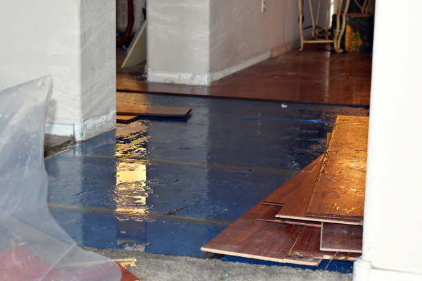 Professional Burst Pipe Cleanup technician working in Roxbury Crossing, MA